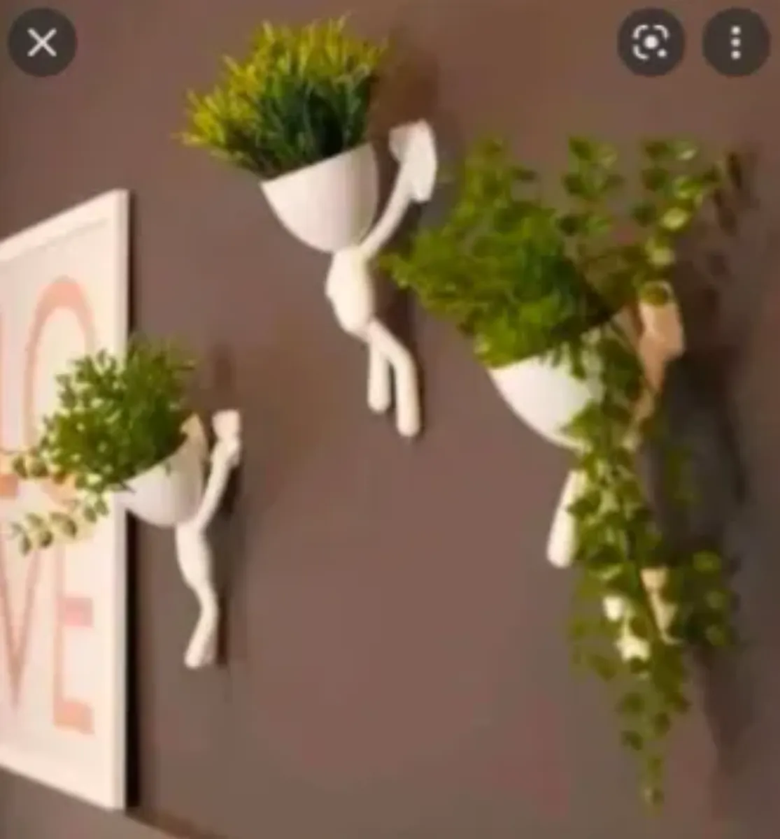 Macetas de pared