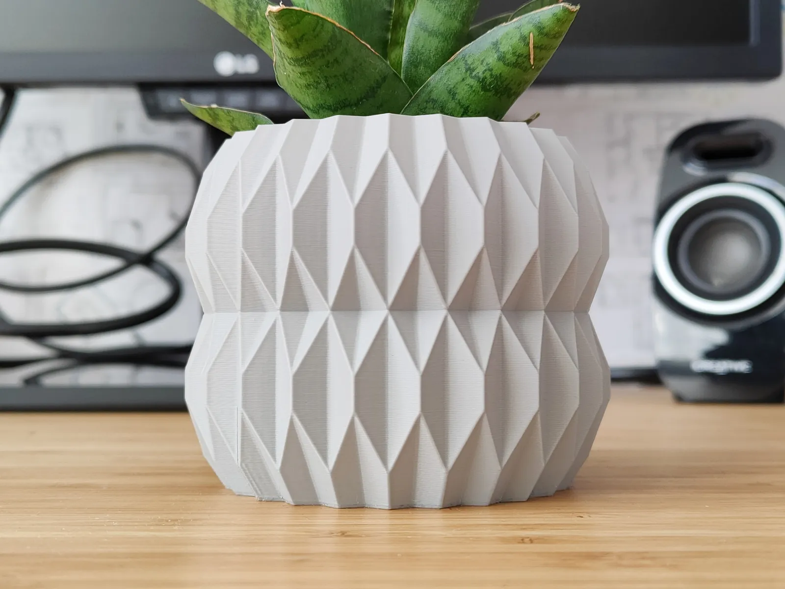 Seashell Plant pot and Planter - Vase mode design