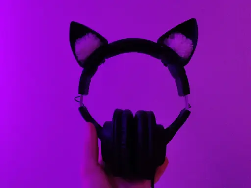 [Cat ears for headphones] Cat ears for headphones