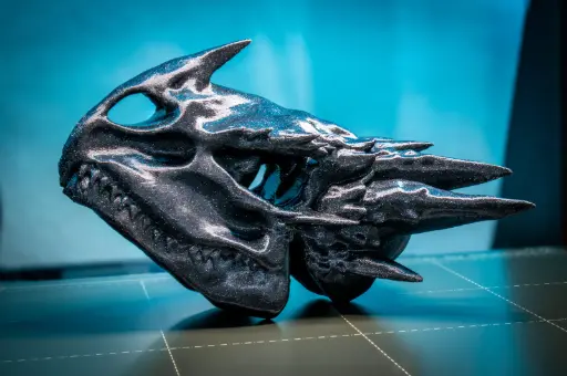 [Dragon Skull] Dragon Skull