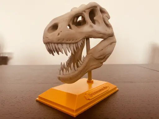 [T-Rex Skull] T-Rex Skull