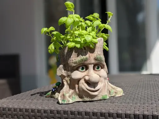 [Cartoon-Style Tree Face Planter ] Cartoon-Style Tree Face Planter 