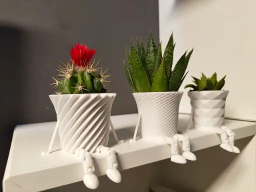 [Mini cactus family flowerspot] مزهرية مودرن