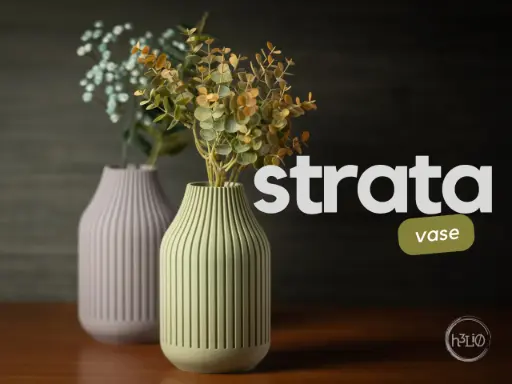 strata · vase