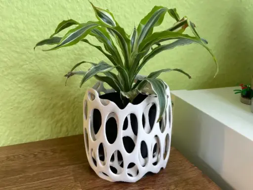 [Voronoi planter] Voronoi planter