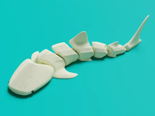 [Articulated Whale Shark] قطعة قرش ابيض